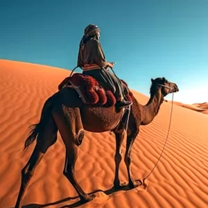 Marrakech to Zagora 2 Days Tour