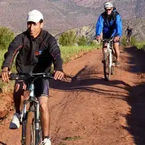 9-Day Mountain and Desert Biking Expedition with Momo Excursions